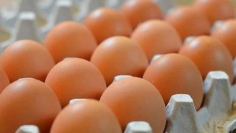 فيديو زراعة البيض في الهند والصين يثير جدلًا بمواقع التواصل