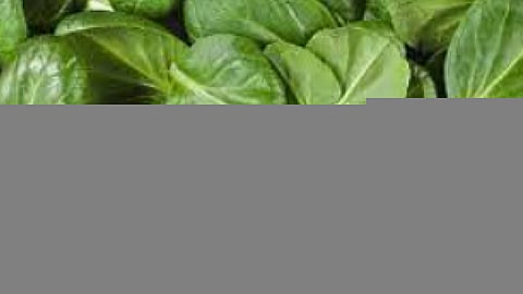 فوائد سحرية لخضار «غير مكلف».. يحارب السرطان