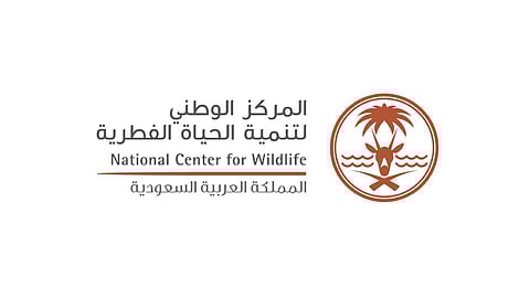 فيديو لغزالة تائهة بالرياض.. و«الحياة الفطرية» تتفاعل