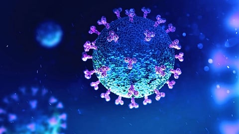 مفاجأة.. سلالة «دلتا» آخر متحوِّرات فيروس كورونا