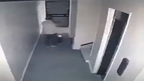 فيديو يوثّق لحظة صادمة لسقوط رجل من الدور الـ12 في مصر