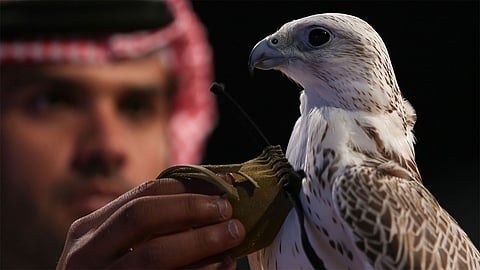 تمديد جناح الأسلحة بمعرض الصقور والصيد السعودي الدولي لـ 15 أكتوبر