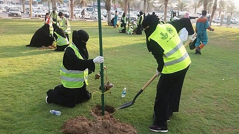 البيئة تطلق حملة تشجير المنطقة الشرقية «لنجعلها خضراء»