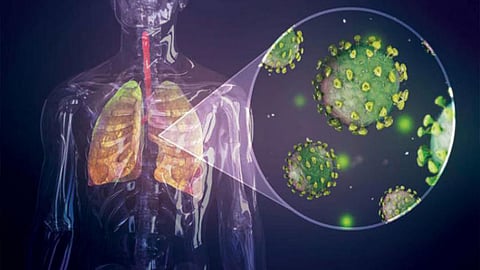 أخصائية مكافحة العدوى توضّح وقت انتشار الأمراض الفيروسية