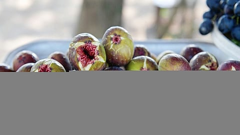 4 فوائد «مذهلة» للتين المجفف