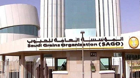 مؤسسة الحبوب تحدّد موعد إقفال موسم استلام القمح المحلي