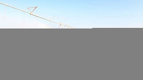 برنامج «ريف» يكشف عن أكثر قطاعين جذبًا للمستفيدين