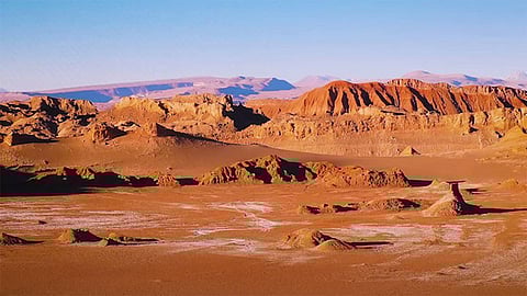 ازدهار صحراء «أتاكاما».. بالفيديو كيف تتحول أكثر مناطق العالم جفافًا إلى حقول ملونة؟