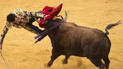 وفاة رجل خلال مهرجان الركض مع الثيران.. نزف حتى الموت