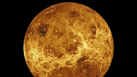 نجم «الغول» في سماء المملكة.. وفلكية جدة تكشف موعد ظهوره