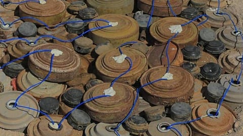 مشروع «مسام» ينتزع أكثر من 1,500 لغم من الأراضي اليمنية