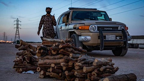 ضبط 5 مواطنين بحوزتهم 2500 متر مكعب من الحطب المحلي بعسير
