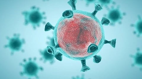 «متلازمة ما بعد كورونا».. طبيبة تحذر من عواقبها المميتة