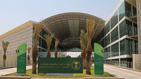 «البيئة» تحذر من بيع مخططات على أراض زراعية دون موافقتها