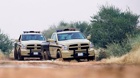 «ظبي فلودير» طليق في أحد أحياء الرياض.. والأمن البيئي يتدخل