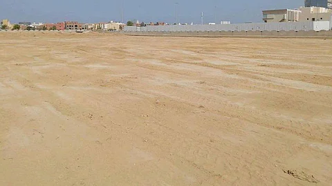 15 يومًا على انتهاء مهلة تسجيل الأراضي البيضاء في الأحساء