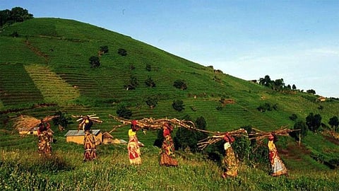 البنك الإفريقي للتنمية يدعم الصناعات الزراعية بالكونغو الديمقراطية