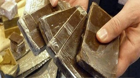 «العامة للمجاهدين»: ضبط 50 كيلو جرامًا من الحشيش المخدر بحوزة مواطن في جازان