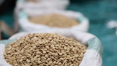 حرس الحدود تُحبط محاولات تهريب 19233 قرص إمفيتامين