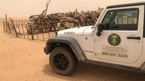 الجهات الأمنية بالأمن العام تُطيح بـ 16 مخالفًا لنظام البيئة في 4 مناطق