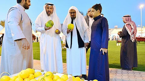 انطلاق مهرجان الحمضيات الأول في منطقة حائل