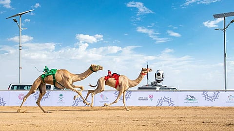 الهجن البحرينية تخطف «رموز المفتوح» و«مزعلة» تحقق أفضل توقيت في كأس وزارة الرياضة للهجن