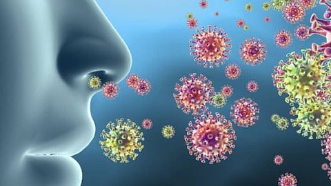 دراسة أمريكية: الرجال ينشرون فيروس كورونا أكثر من النساء