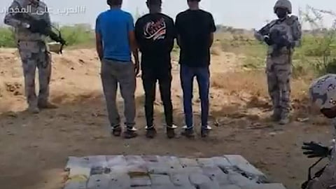 بالفيديو.. إحباط تهريب 352 كيلو جرامًا من الحشيش و54 طنًا من القات بعدة مناطق