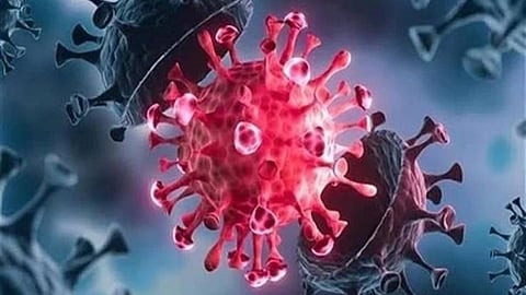 خبير روسي يكشف عن طريقة مُثلى تحمي من المتحور أوميكرون