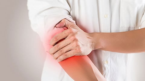 من أمعاء الخنازير.. عقار جديد لعلاج الجلطات