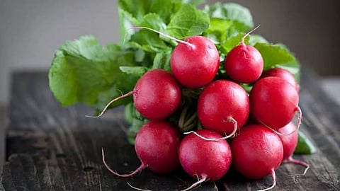 الفجل البري.. كنز عذائي من الفيتامينات والمعادن
