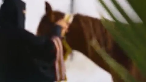 بدأت رحلتها بهواية لتصبح مالكة أول ناد لتعليم ركوب الخيل للنساء بحائل.. الزقدي تروي قصتها