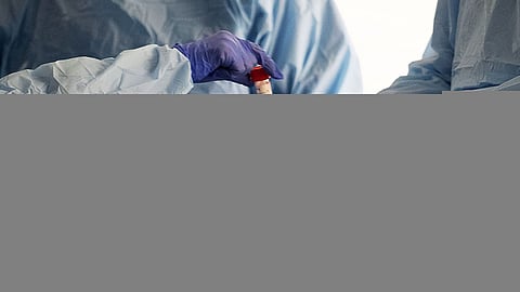 ظهور «قاتل محتمل» لـ«كورونا» لدى أسماك مفترسة.. هل ينجح العلاج؟