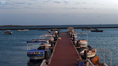 بينها 79 مسدسًا.. إتلاف أدوات صيد مخالفة بمحافظة ينبع