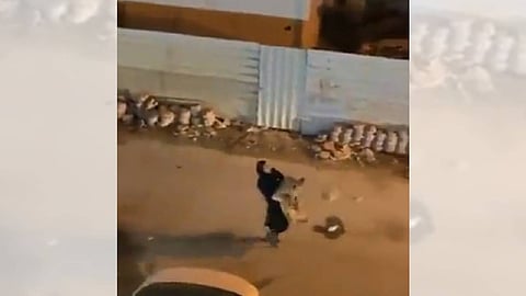 بالفيديو.. فتاة تسيطر على أسد أثار الذعر في أحد شوارع الكويت