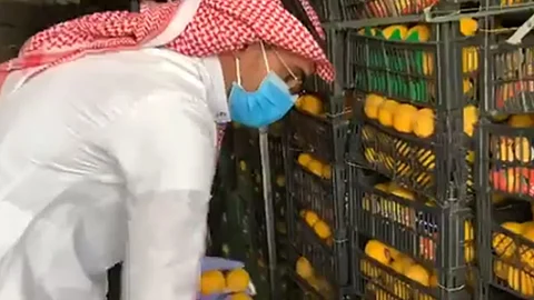 بالفيديو.. ضبط شحنة برتقال وليمون غير صالحة للاستهلاك في الشرقية