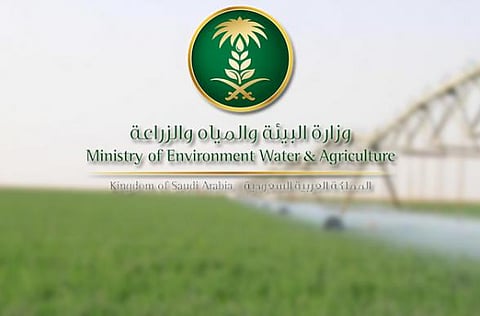 "البيئة" تغرم 7 مشاريع دواجن مخالفة بـ1.5 مليون ريال