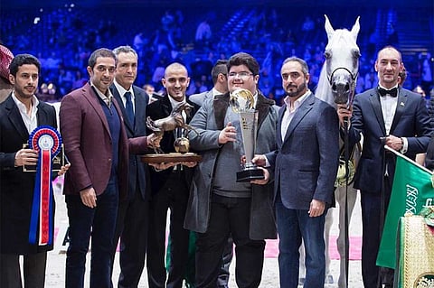 "أكمل" يفوز بلقب الأفراس في بطولة العالم لجمال الخيل العربية الأصيلة