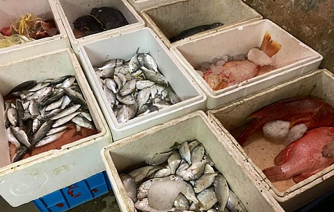 إتلاف مواد غذائية فاسدة ومصادرات متنوعة في مكة