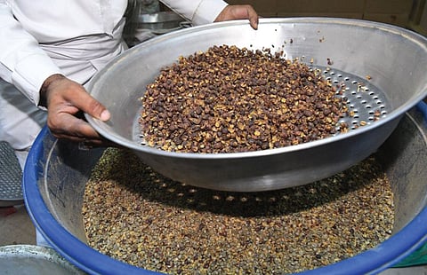 غدًا.. تدشين مهرجان الذهب الأخضر بالدائر ومبيعاته تقدَّر بـ 60 مليون ريال