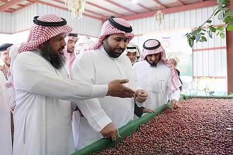 بالصور.. نائب أمير جازان يتفقد مشاريع الدائر ويتجول بمزارع البن