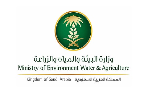 البيئة: ضبط مستودعات لتخزين وبيع الحطب المحلي بالجوف