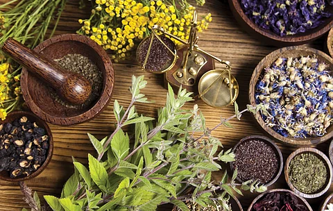 الأعشاب الطبية