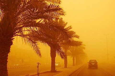 قائمة أطعمة تقي من أضرار الغبار والأتربة