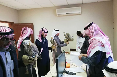 بالصور.. البيئة تشارك في «مهرجان الصقور» بعيادات بيطرية وفرق إرشادية