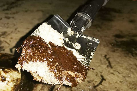 بالفيديو.. هيئة الأرصاد تحذّر: لا تقتربوا من «شاطئ الشعيبة»