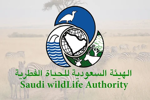 «الحياة الفطرية» تمدد إيقاف زيارة 5 محميات طبيعية