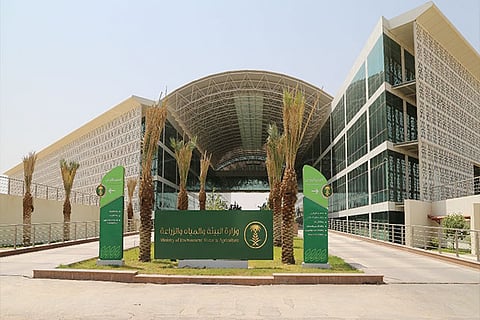 وزارة البيئة تعلن عدد بلاغات الاحتطاب بـ8 مناطق