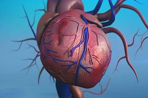 النمر يكشف حقيقة «مفعول عصير الشفاء السحري» لعلاج تضيق الشرايين