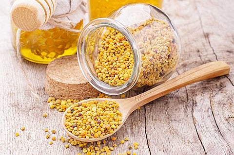 هيئة الغذاء تحذر من منتج أمريكي لحبوب لقاح النحل